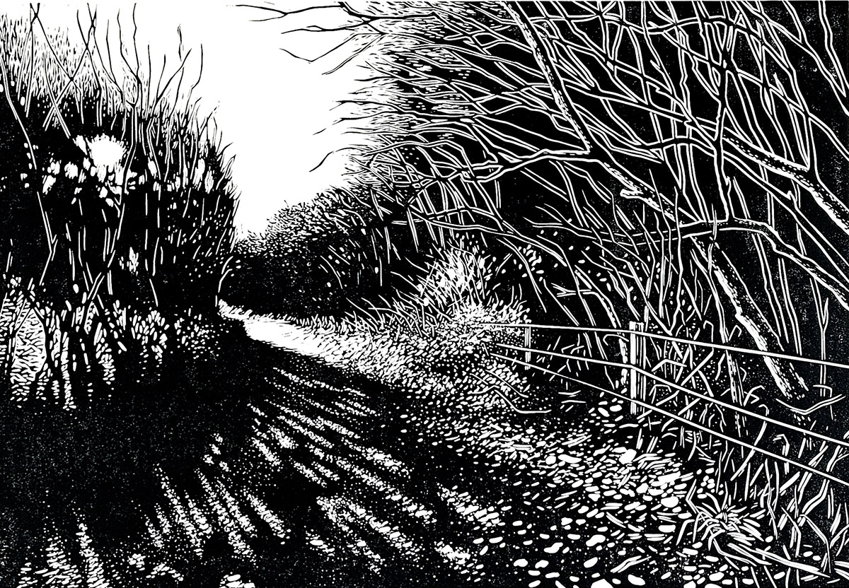Pauline Dawkins White Stag
